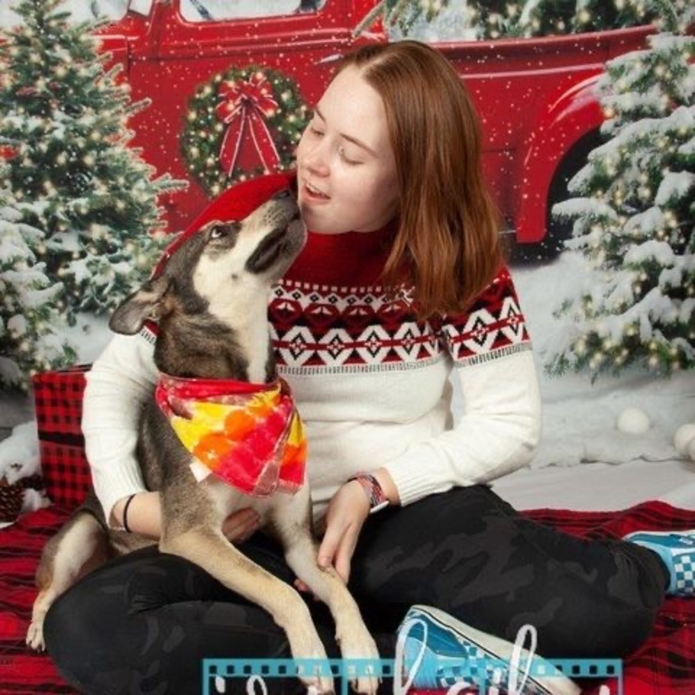 Meet your Posher, Alexis